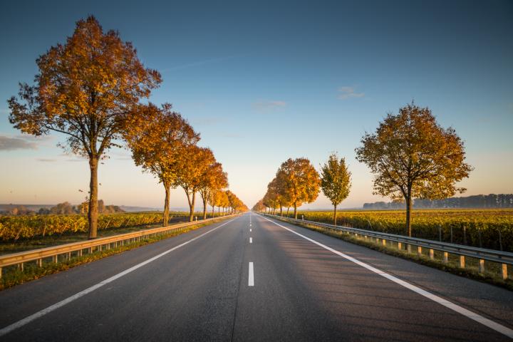 Bild zu Die Straße ins Glück - Fachrichtungen im Detail