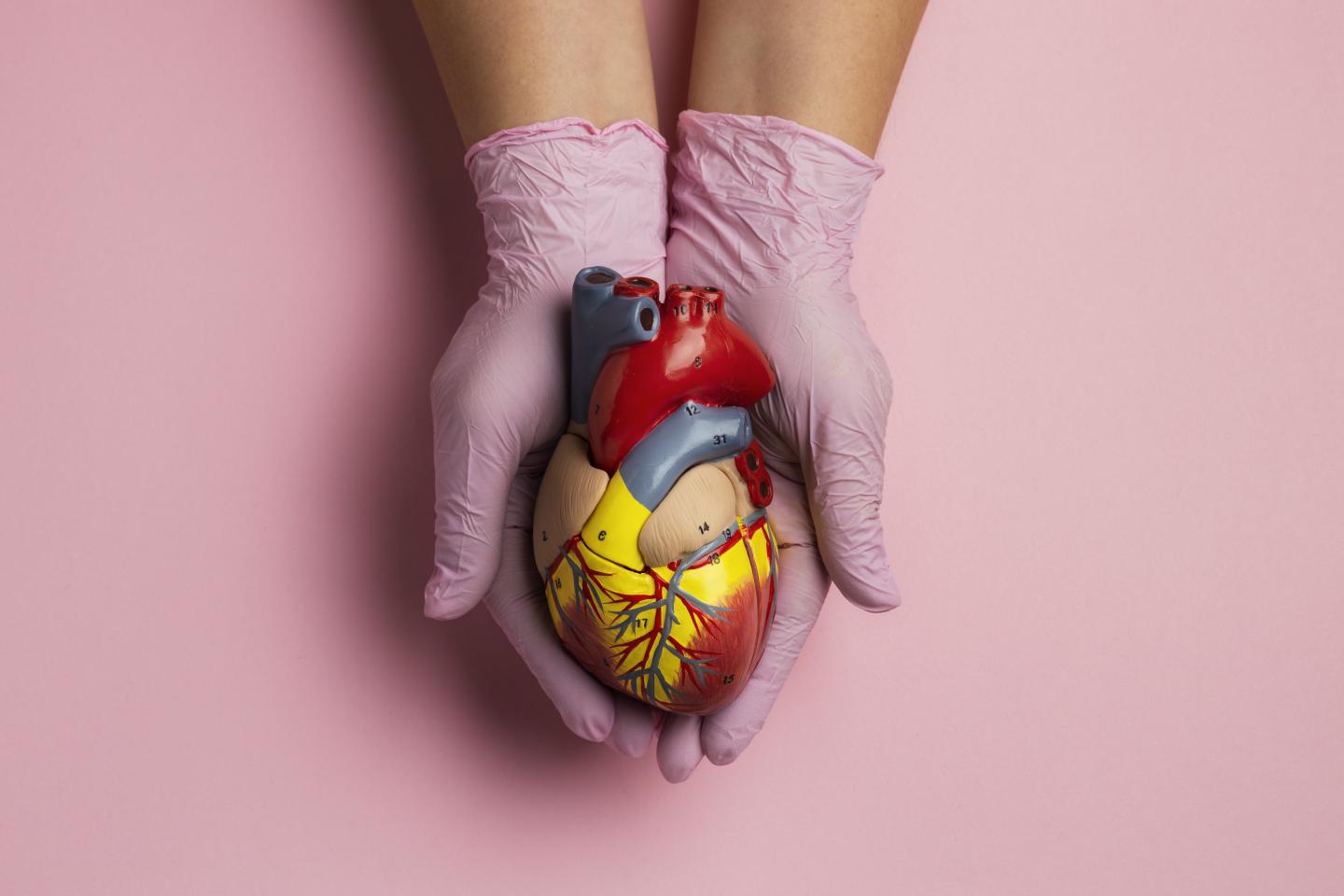 Medizin im Ausland studieren