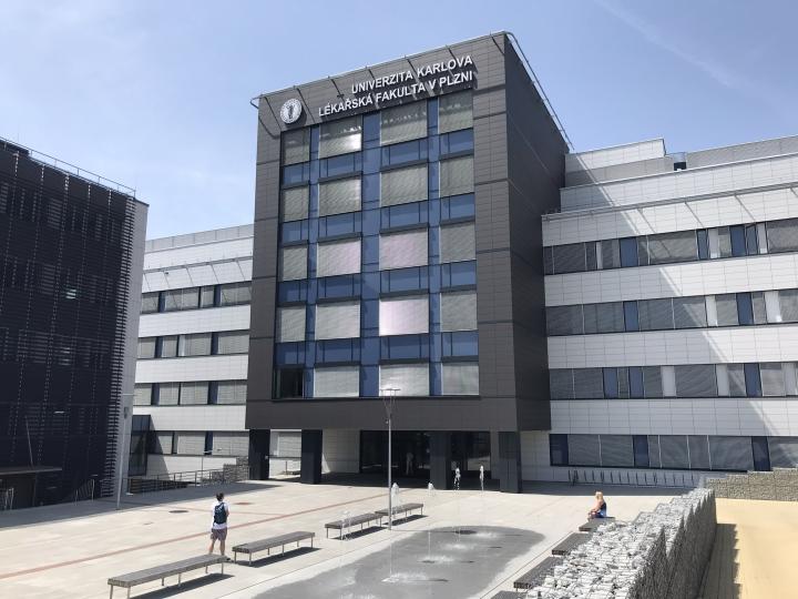 Medizin im Ausland studieren - Medizin in Pilsen an der Karlsuniversität studieren