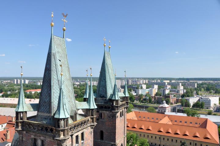 Medizin in Königgrätz studieren